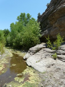 Bear Creek in Southwest New Mexico