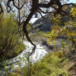 fall on Bear Creek at Casitas de Gila Guesthouses