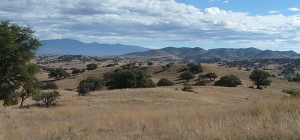 Mule Creek, New Mexico, Country