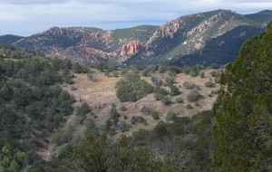 Mogollon Rim