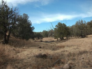 Mule Creek Country, New Mexico