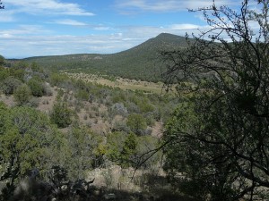Mule Creek Country, New Mexico