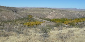 Mule Creek Country, New Mexico