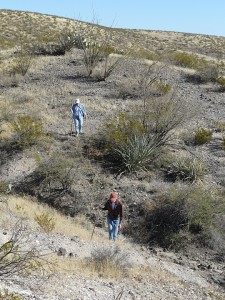 desert terrain southwest New Mexico