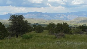 Mule Creek Country