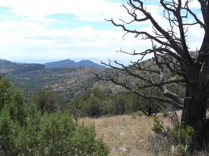 Mule Creek Country, New Mexico