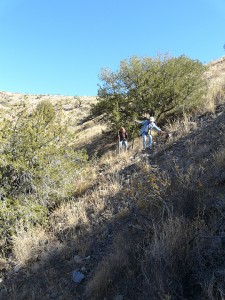 hiking near Blue Creek