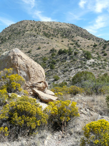 Southwest New Mexico landscape