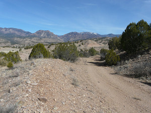 At top of Soldier Hill, looking east to Mogollon Mountains. Ulzana's ambush possibly occurred about here.