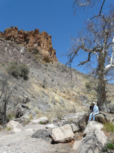 Spectacular cliff of weathered red rhyolite welded tuff overlying dark purplish-gray andesite flow. Note cream-colored rhyolite boulder next to boulder of dark gray andesite flow in foreground.