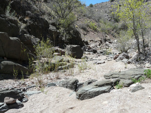 Basalt flow 1 mile up Eliot Canyon from Little Dry Creek.