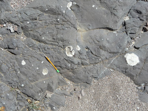 Andesite flow with numerous large quartz-filled gas bubbles (geodes).