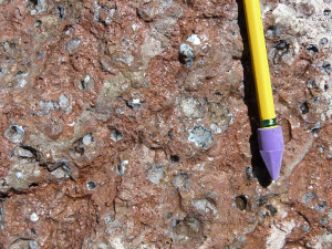Rhyolite flow with abundant small quartz-filled gas bubbles.