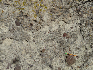 Pyroclastic rhyolite ash flow breccia with angular fragments of rhyolite torn from sides of volcano during eruption.