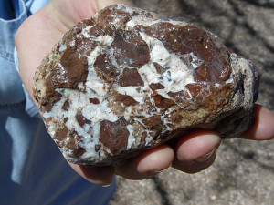 Jasper breccia with quartz matrix from creek bed.