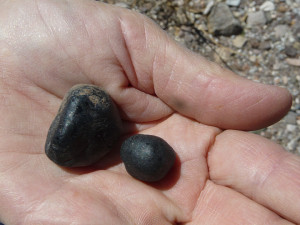 Marekanites or Apache Tears from creek bed.