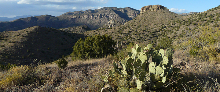 Mogollon Mountains New Mexico