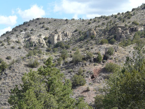 Looking northeast, parallel to the fluorspar vein at the Foster Mine, showing two old drift workings.