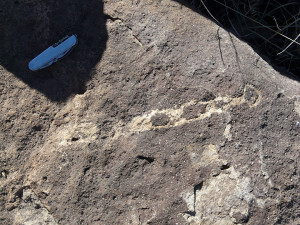 Mogollon snake petroglyph