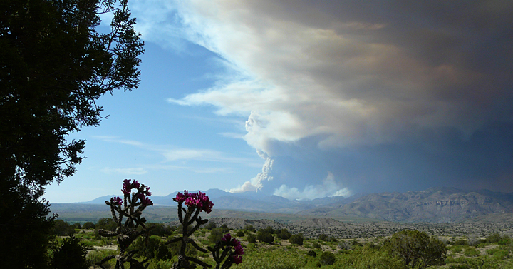 Whitewater Baldy fire raging within the Gila Wilderness in the Mogollon Mountains on May 22, 2012
