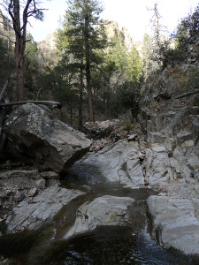 Little Dry Creek trail
