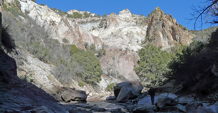 mineral creek in southwest new mexico
