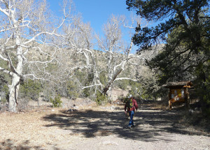 Gila Wilderness New Mexico