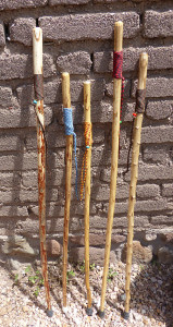 yucca walking sticks