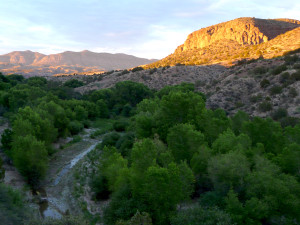 gila wilderness new mexico