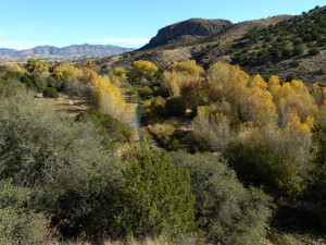 Fall in the Gila Wilderness