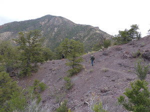 hiking in southwest new mexico