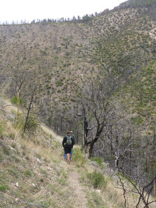 hiking near Silver City New Mexico