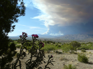 whitewater-baldy fire in gila wilderness