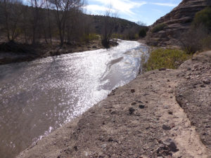 Bear Creek southwest New Mexico