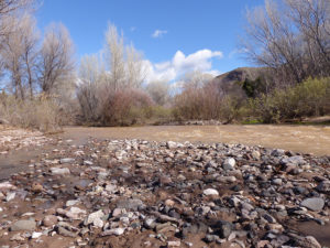 Bear Creek Gila New Mexico