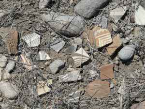 Mogollon Culture pottery shards