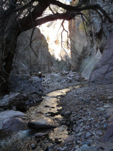 Mineral Creek Trail, New Mexico