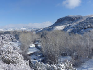 winter in southwest new mexico