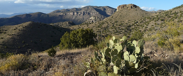 view of Mogollon Mountains in New Mexico