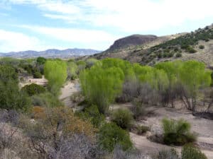view of Bear Creek at Casitas de Gila Guesthouses