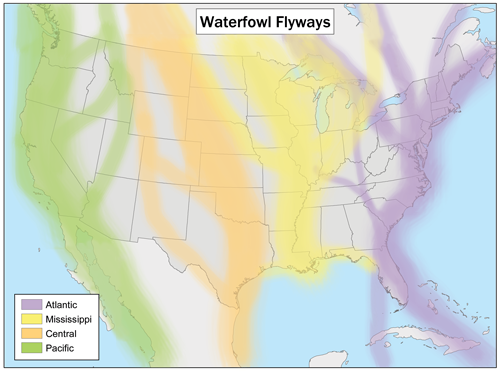 migration flyways map