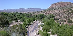 Bear Creek near Silver City 