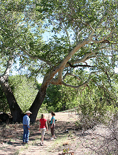 waymarking new mexico