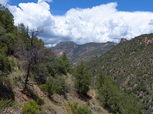 monsoonal clouds in the Gila