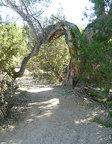 hiking southwest new mexico