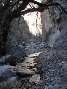 Mineral Creek trail New Mexico