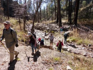 Hiking Sacaton Creek Trail New Mexico