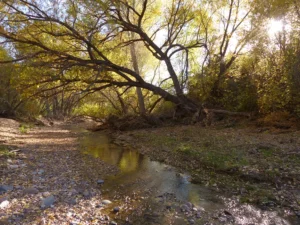 late October along Bear Creek.