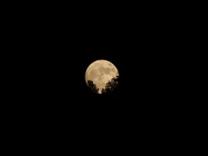 moon rise.