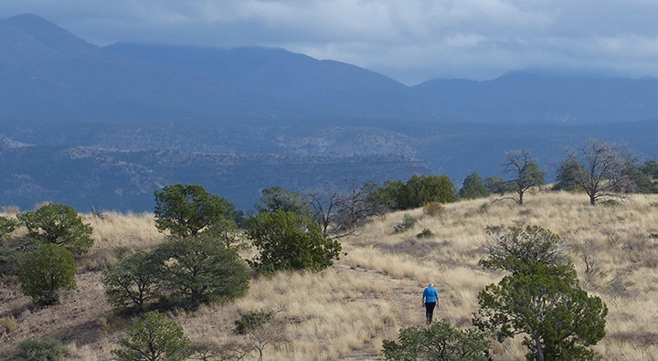 walking the Paradise Overlook Trail.